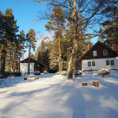 Lojzovy Paseky Otel Frymburk Dış mekan fotoğraf